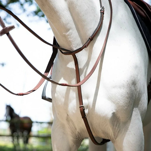 Antares standing martingale - antares,